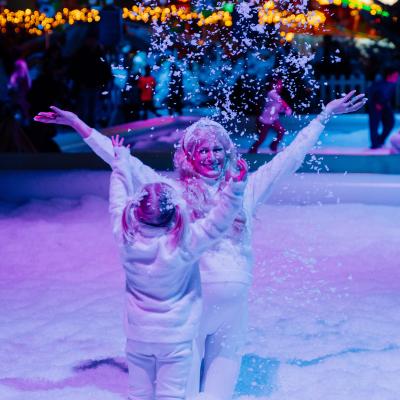 De Sneeuwtuin
